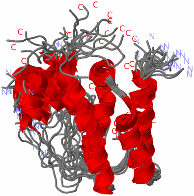 Image NMR Structure - all models