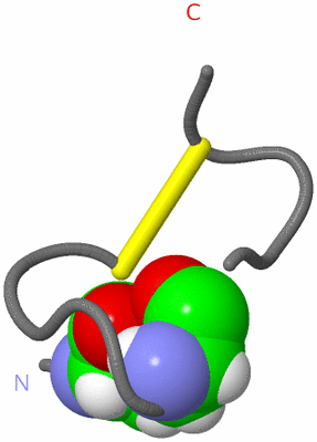 Image NMR Structure - model 1