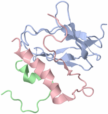 Image NMR Structure - model 1