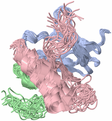 Image NMR Structure - all models