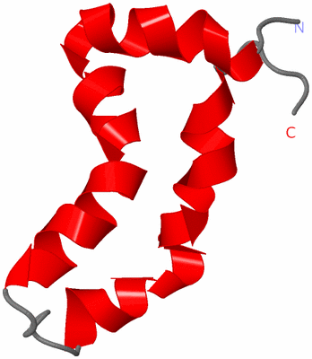 Image NMR Structure - model 1