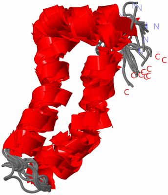 Image NMR Structure - all models