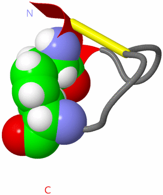 Image NMR Structure - model 1