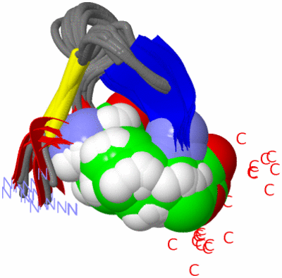 Image NMR Structure - all models