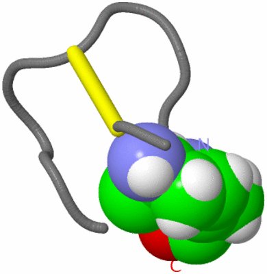 Image NMR Structure - model 1