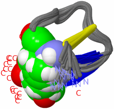 Image NMR Structure - all models