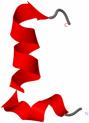 Image NMR Structure - all models