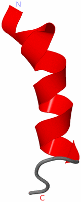 Image NMR Structure - model 1