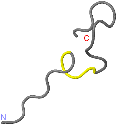 Image NMR Structure - model 1