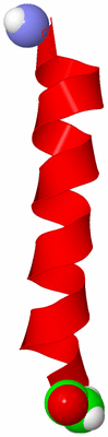 Image NMR Structure - model 1