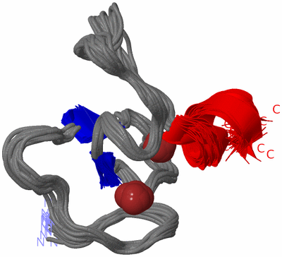 Image NMR Structure - all models