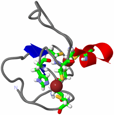 Image NMR Structure - model 1, sites