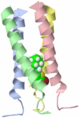 Image NMR Structure - model 1