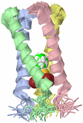 Image NMR Structure - all models