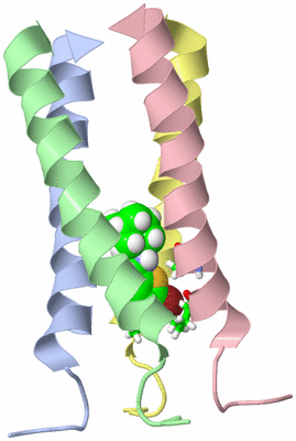 Image NMR Structure - model 1, sites