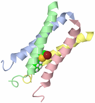 Image NMR Structure - model 1