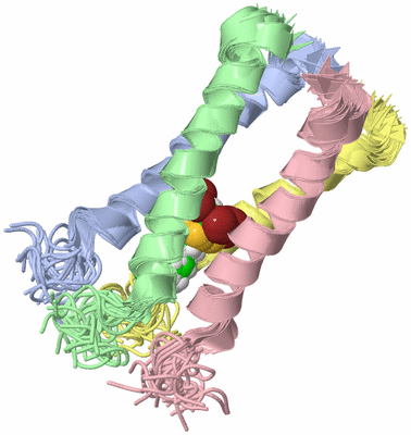 Image NMR Structure - all models