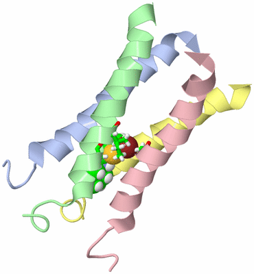 Image NMR Structure - model 1, sites