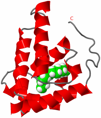 Image NMR Structure - model 1