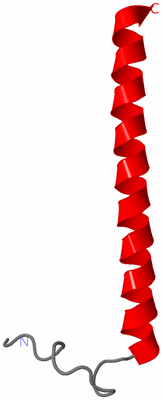 Image NMR Structure - model 1