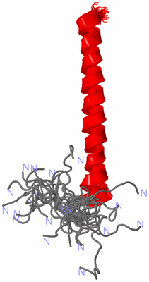 Image NMR Structure - all models