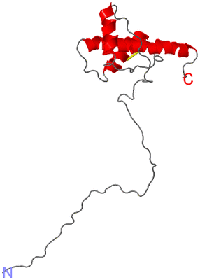 Image NMR Structure - model 1