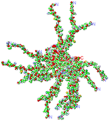 Image NMR Structure - all models