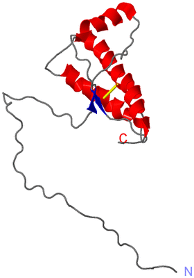 Image NMR Structure - model 1