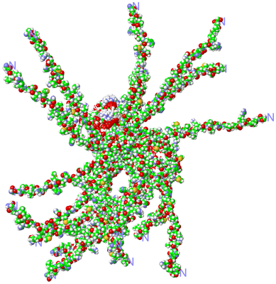 Image NMR Structure - all models