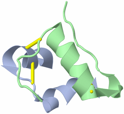 Image NMR Structure - model 1