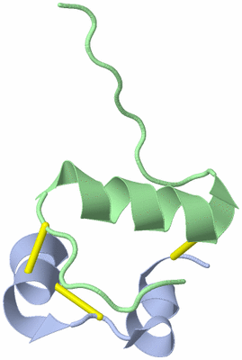 Image NMR Structure - model 1