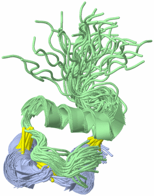 Image NMR Structure - all models