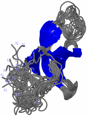 Image NMR Structure - all models