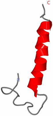 Image NMR Structure - model 1