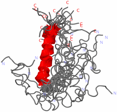 Image NMR Structure - all models