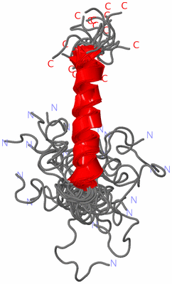 Image NMR Structure - all models