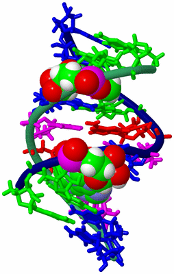 Image NMR Structure - model 1