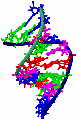 Image NMR Structure - model 1