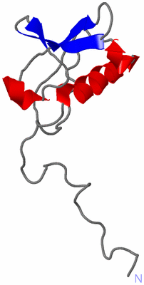 Image NMR Structure - model 1