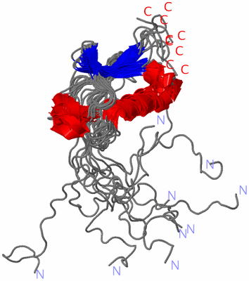 Image NMR Structure - all models