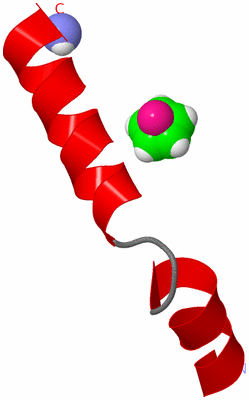 Image NMR Structure - model 1