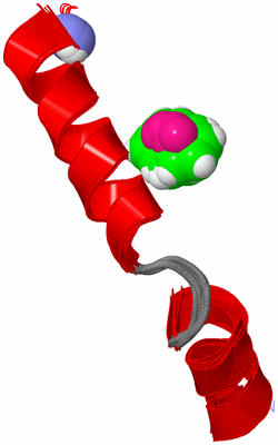 Image NMR Structure - all models