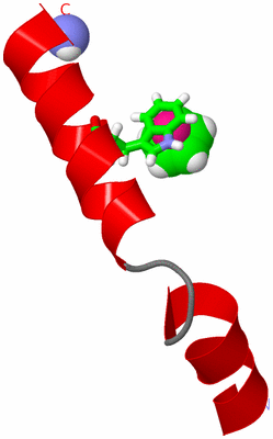 Image NMR Structure - model 1, sites