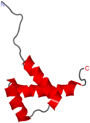 Image NMR Structure - model 1