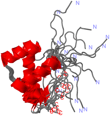 Image NMR Structure - all models