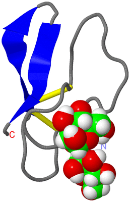 Image NMR Structure - model 1