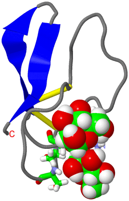 Image NMR Structure - model 1, sites