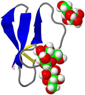 Image NMR Structure - model 1