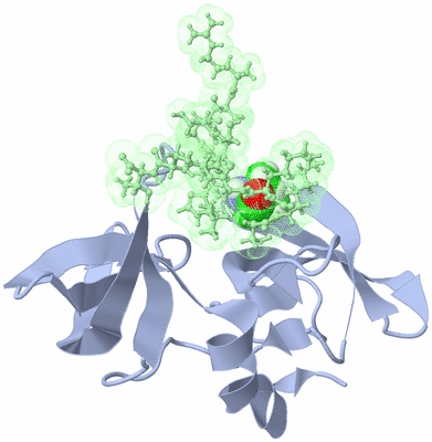 Image NMR Structure - model 1