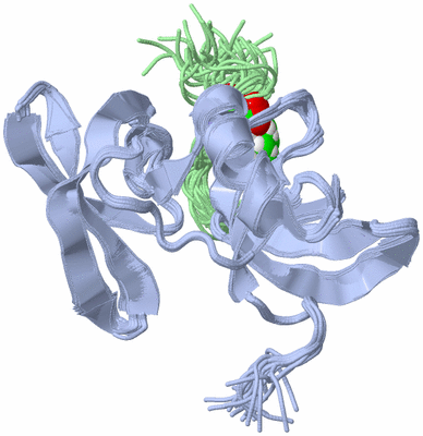 Image NMR Structure - all models